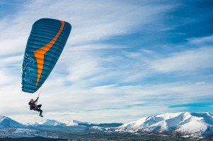 Mini-voile GIN GRIFFIN