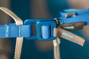 Soaring shop - Cocon NEO STAY UP