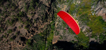 Parapente NOVA MENTOR 6