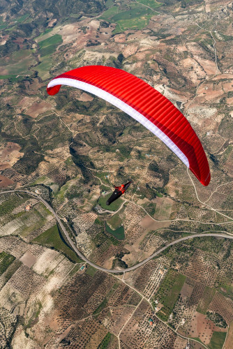 Parapente GIN LEOPARD - EN D - 2 lignes