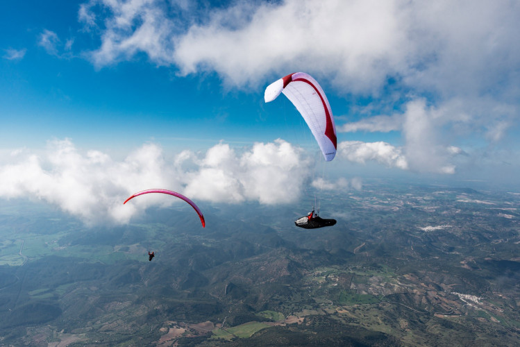 Parapente GIN LEOPARD - EN D - 2 lignes