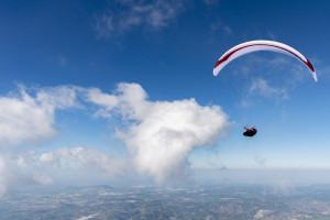 Parapente GIN LEOPARD - EN D - 2 lignes