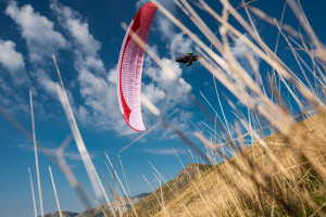 Parapente GIN CAMINO