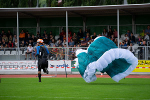 Mini-voile NOVA BANTAM