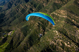 Parapente OZONE BUZZ Z6
