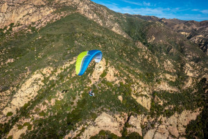 Parapente OZONE BUZZ Z6