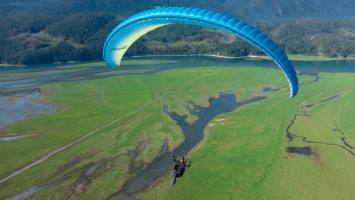 Parapente OZONE BUZZ Z6