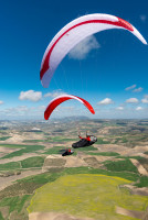 Cocon GIN GENIE RACE 4