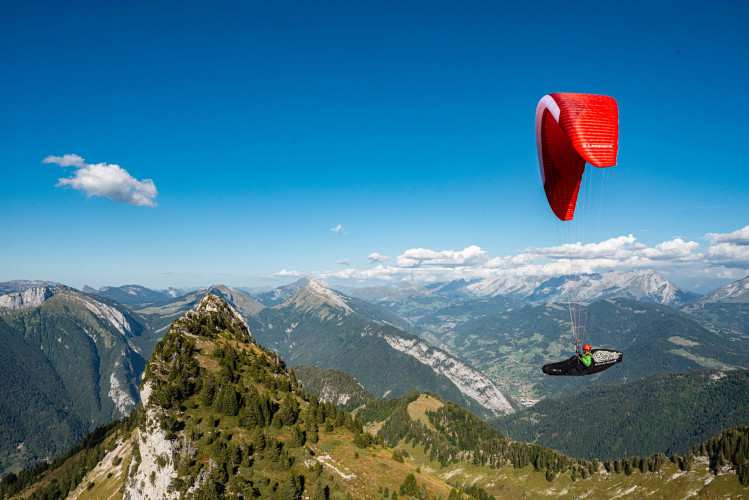 Cocon GIN GENIE RACE 4