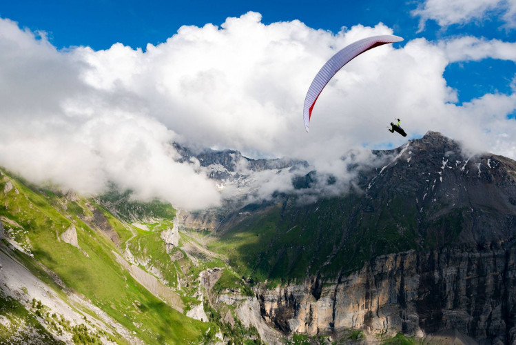 Soaringshop - Parapente GIN PUMA