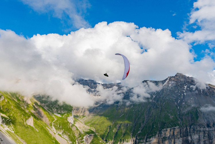 Soaringshop - Parapente GIN PUMA