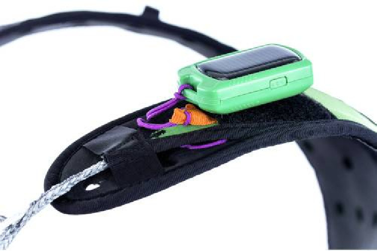 Cocon KORTEL KOLIBRI EVO