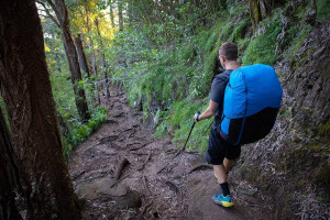 Sellette réversible OZONE SOLOS