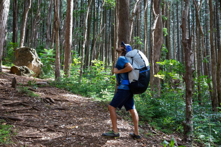 Sellette réversible OZONE SOLOS LITE