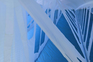 Parapente NERVURES WHIZZ 2