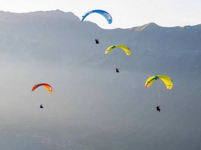 Parapente OZONE MOXIE
