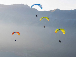 Parapente OZONE MOXIE