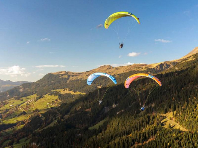 Parapente OZONE MOXIE