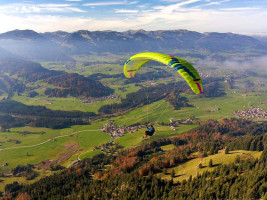 Parapente OZONE MOXIE