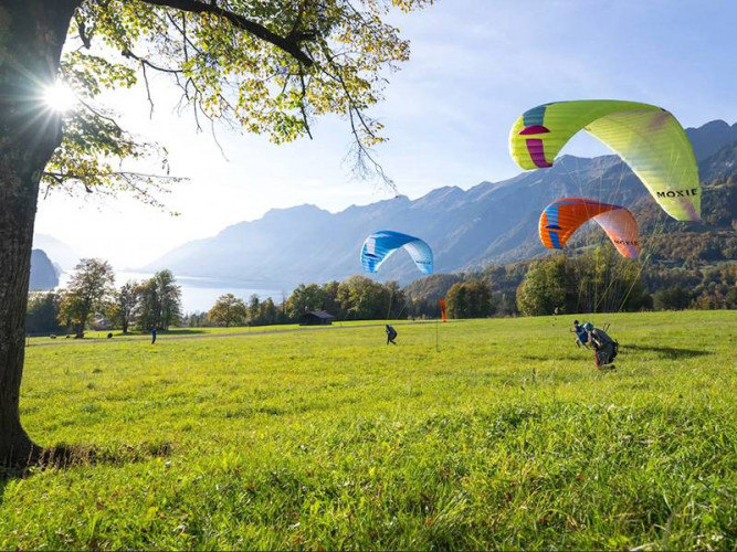 Parapente OZONE MOXIE