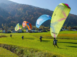 Parapente OZONE MOXIE