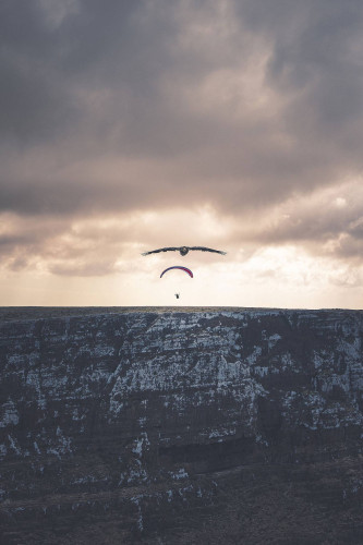 Parapente NOVA ION 7