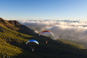 Parapente NOVA MENTOR 7