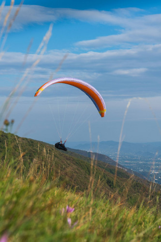 Parapente NOVA MENTOR 7
