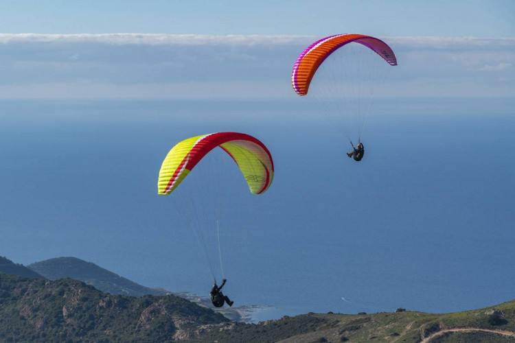 Parapente AIRDESIGN VIVO 2