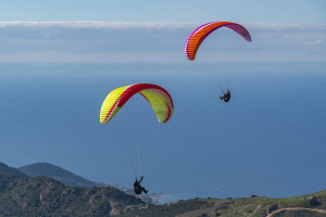 Parapente AIRDESIGN VIVO 2