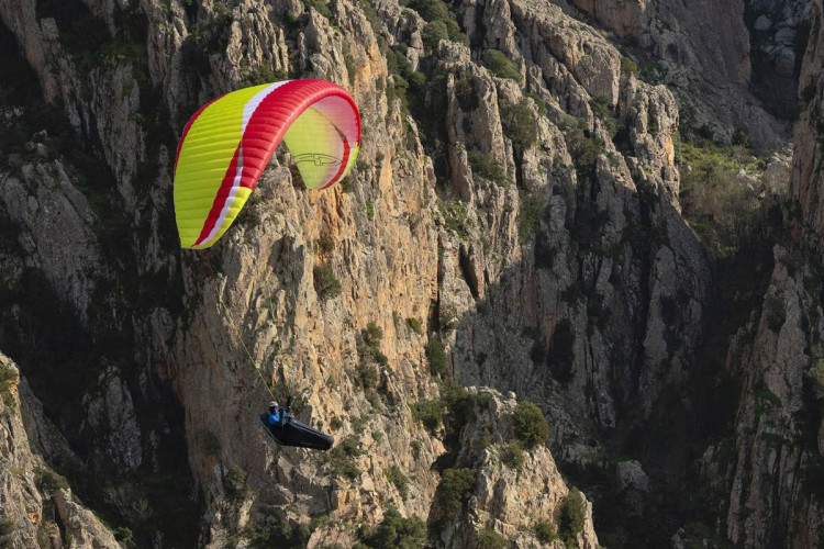 Parapente AIRDESIGN VIVO 2