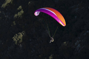 Parapente AIRDESIGN VIVO 2