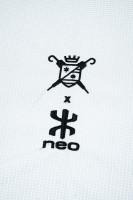 Parapente NEO LE PARAPLUIE DE CHERBOURG