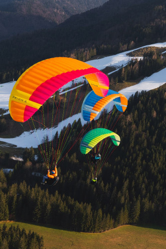 Parapente NOVA PRION 6