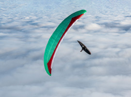 Cocon GIN GENIE RACE 5