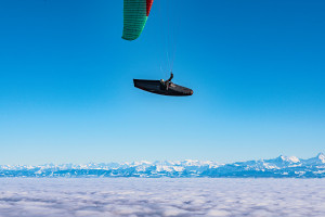 Cocon GIN GENIE RACE 5