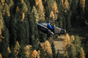 Cocon WOODY VALLEY RACE