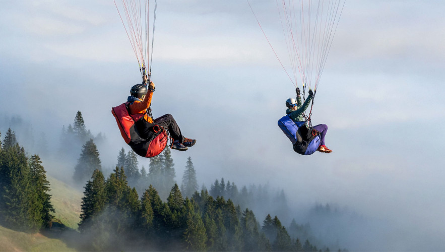 Sellette réversible ADVANCE EASINESS 4