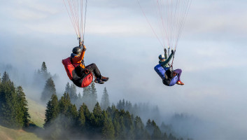 Sellette réversible ADVANCE EASINESS 4