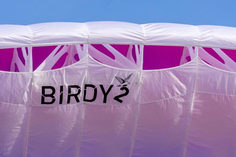 Parapente SUPAIR BIRDY 2