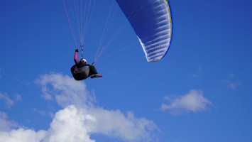 Sellette DUDEK DISCO 2