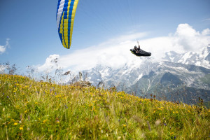 Cocon DUDEK SOUL 2021