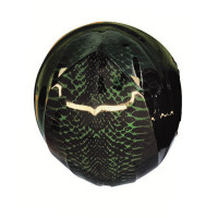 Casque parapente ICARO NERV 2 python green