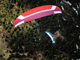 Parapente SKYWALK POISON 4