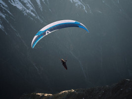 Parapente SKYWALK POISON 4