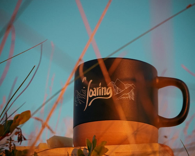 Mug SOARING