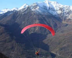 Parapente NERVURES WHIZZ 3