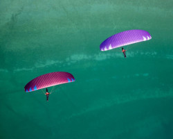 Parapente occasion PHI MAESTRO 2 19 bordeaux/royal