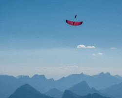 Parapente occasion PHI MAESTRO 2 19 bordeaux/royal