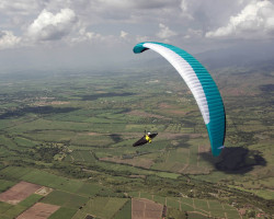 Parapente occasion ADVANCE SIGMA 11 24 spectra